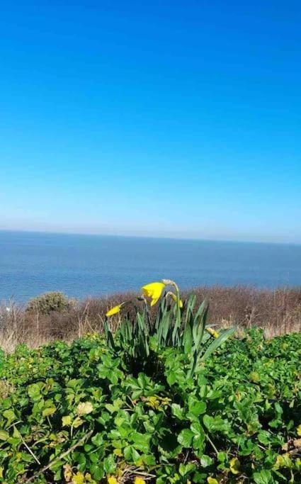 Herne Bay Central - 2 Minutes From Beach Apartment Exterior photo